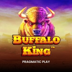 Buffalo King