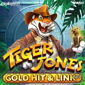 Gold Hit & Link_ Tiger Jones™